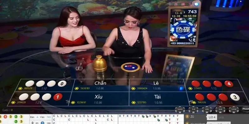 Lưu ý quan trọng để đánh bại game xóc đĩa