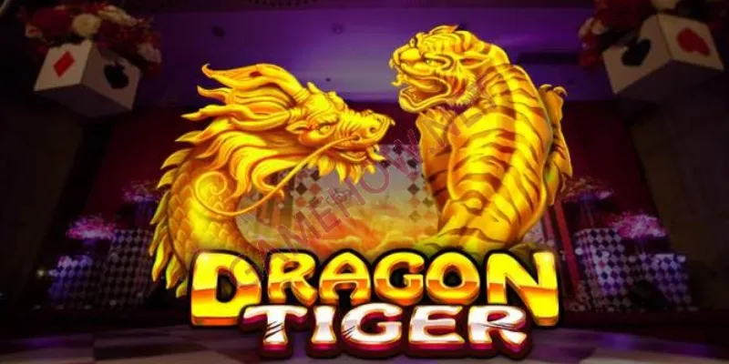 Quy tắc chơi Rồng Hổ cơ bản nhất bạn cần nắm