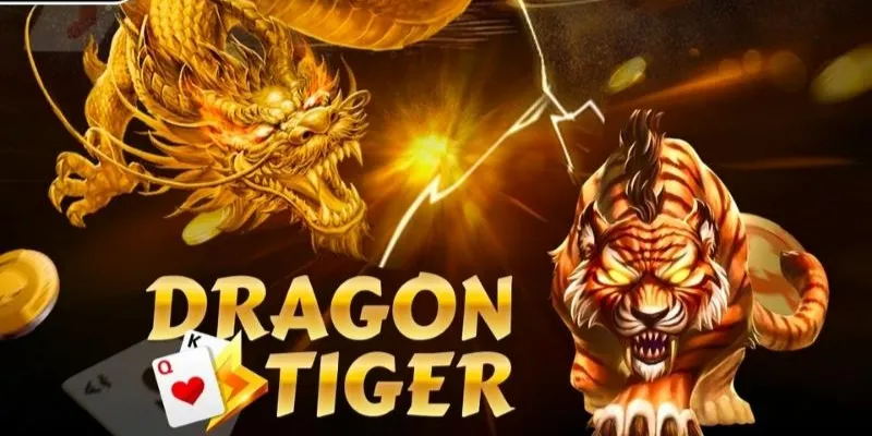 Cách chơi Dragon Tiger hiệu quả nhất cho người mới