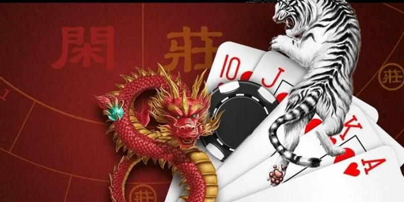 Mẹo chơi Dragon Tiger bao thắng từ cao thủ